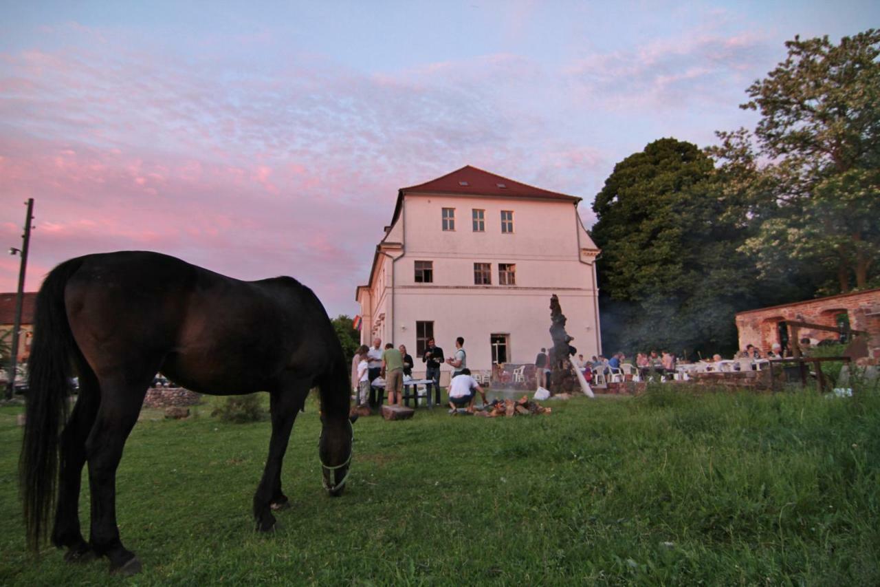 Gutshof Kehnert - Pension & Ferienwohnungen Exteriér fotografie