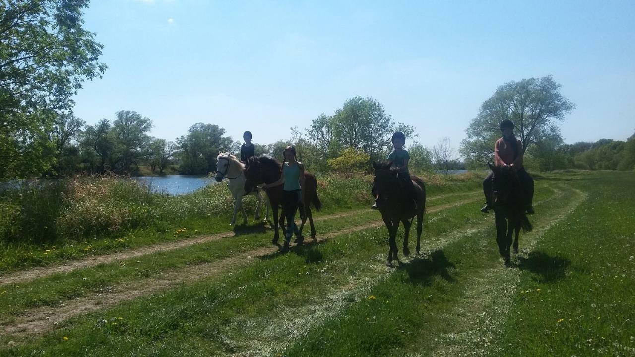 Gutshof Kehnert - Pension & Ferienwohnungen Exteriér fotografie