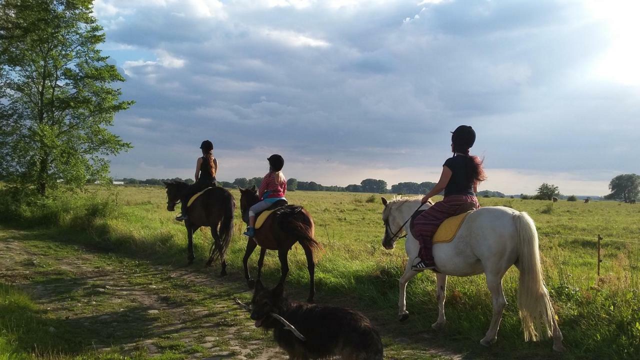 Gutshof Kehnert - Pension & Ferienwohnungen Exteriér fotografie